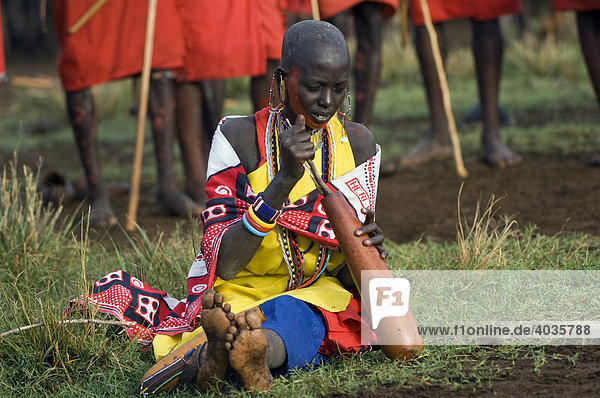 Masai Frau  das traditionelle Getränk aus Kuhblut und Milch vorbereitend  Masai Mara  Kenia  Ostafrika  Afrika