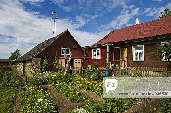 Typical country house with farmer's garden  Lake Peipsi  Peipsu jaerv  Estonia  Baltic States  Northeastern Europe