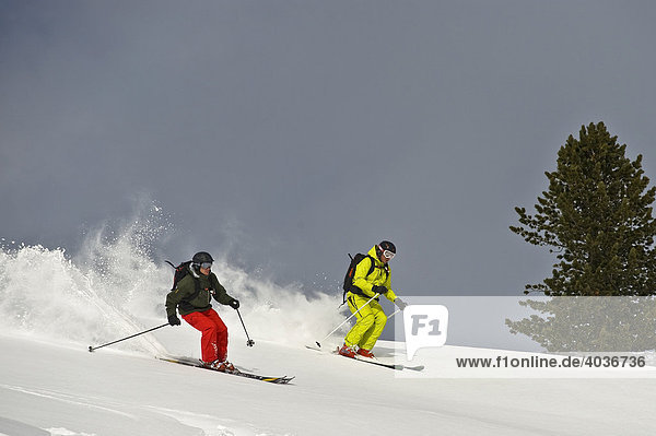 Zwei Tiefschnee Skifahrer  Tirol  Österreich  Europa