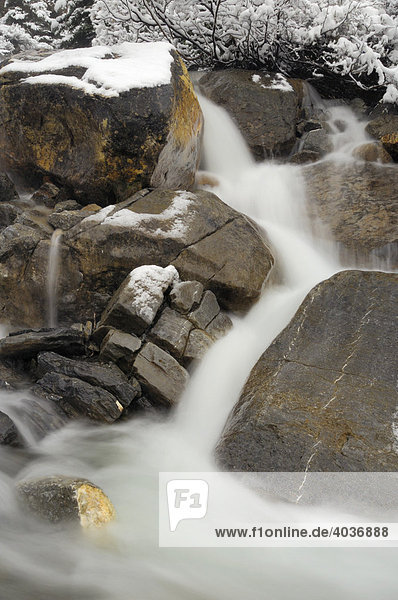 Winter runoff from Wilcox Pass  Jasper National Park  Alberta  Canada  North America