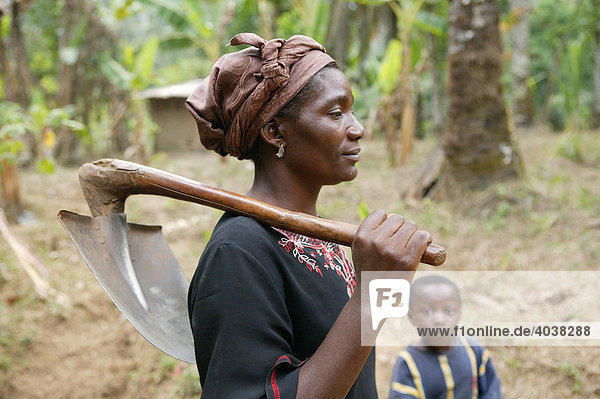 Women carrying a spade to work in a maniok field  Bamenda  Cameroon  Africa