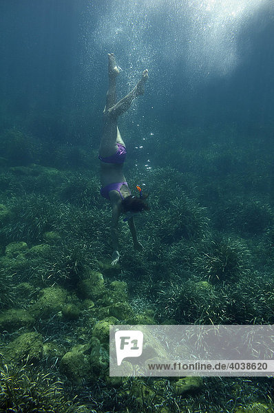 Frau mit Schnorchel und Taucherbrille taucht im Meer  Unterwasseraufnahme  Villasimius  Sardinien  Italien  Europa