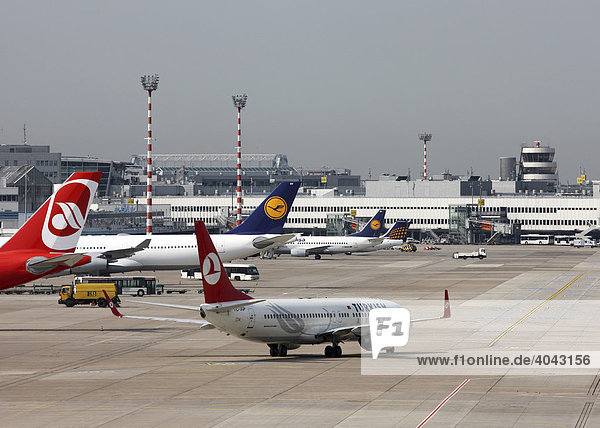 Boeing 737 der Turkish Airlines  Flughafen Düsseldorf International  Düsseldorf  Nordrhein-Westfalen  Deutschland  Europa