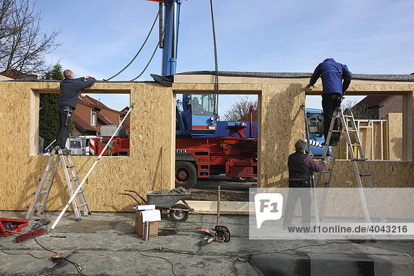 Bau eines Holzhauses durch Zimmerleute  Einfamilienhaus in Holzrahmenbauweise als Niedrigenergiehaus  Recklinghausen  Nordrhein-Westfalen  Deutschland  Europa