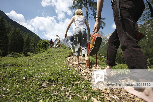 Hikers on an adventure hiking trail  barefoot hiking trail on Schlicker Alm in Stubai Valley  Tyrol  Austria  Europe
