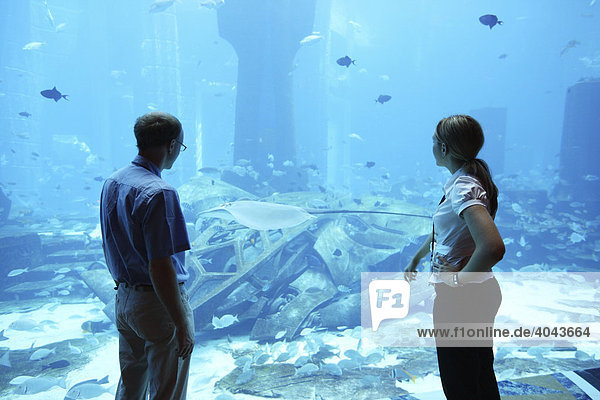 View from East Tower Lobby into the Ambassador Lagoon  11 million liter aquarium with over 60000 fish  Atlantis Hotel The Palm  Dubai  United Arab Emirates
