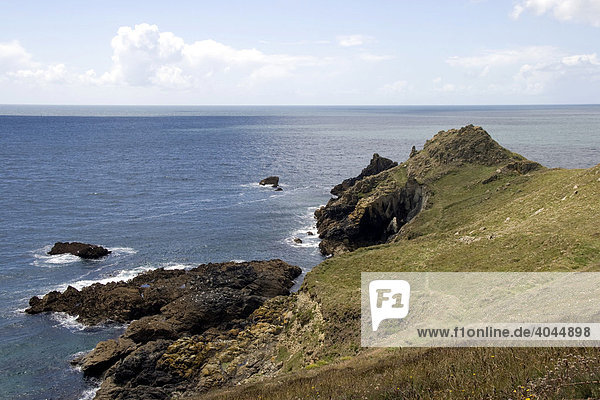 Blick auf Cudden Point  Küste bei Perranuthnoe und Porthleven  Cornwall  Großbritannien  Europa
