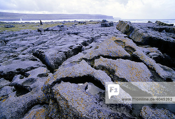 Bizarre Steinplatten an der Atlantikküste bei Galway  Irland  Europa