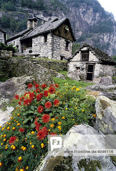 Alte Steinhäuser zwischen Felsen  Rusitici  Foroglio  Bavonatal  Valle Bavona  Kanton Tessin  Schweiz  Europa