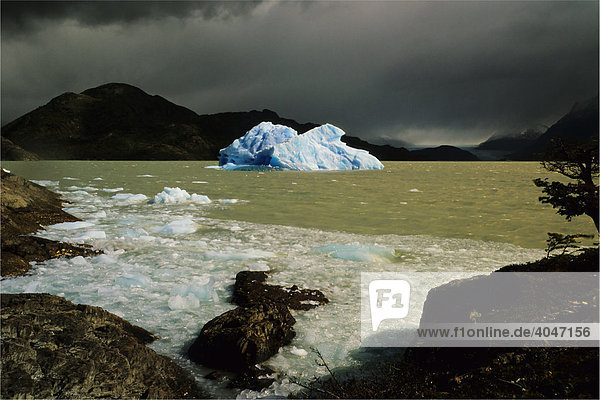 Eisberg in der Laguna Grey  Torres del Paine Nationalpark  Patagonien  Chile  Südamerika
