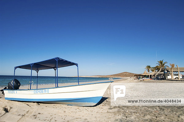 Boot  Playa Tecolote  Baja California Sur  Baja California  Mexiko  Mittelamerika