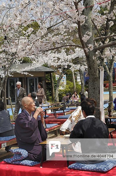 Man drinking sake or rice wine during the cherry blossom festival in the Maruyama Park  Kyoto  Japan  Asia