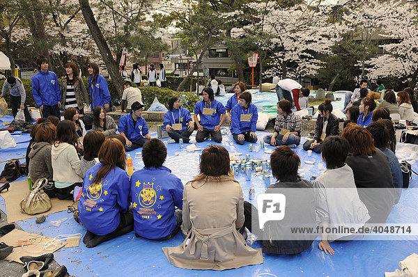 Studentengruppe feiert Kirschblütenfest mit Gesellschaftsspielen unter blühenden Kirschbäumen im Maruyama Park  Kyoto  Japan  Asien
