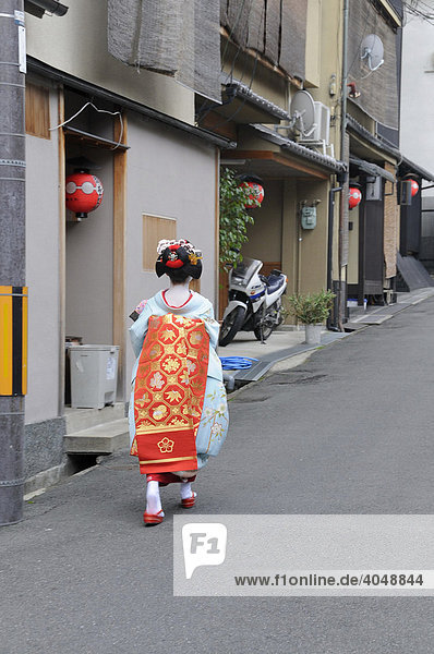 Maiko  Geisha apprentice  in the Gion quarter in Kyoto walking to Odori performance  Japan  Asia