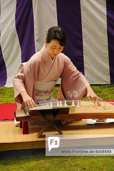 Frau im Kimono spielt eine japanische Zither Koto im Kamigamo Schrein in Kyoto Japan Asien