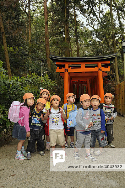 Japanese kindergarten children visiting the Fujimi Shrine in Kyoto  Japan  Asia