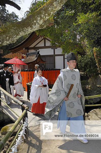 Wedding couple on their way to a Shinto ceremony with a miko  shrine maiden and a Shinto priest at the Kamigamo Shrine  Kyoto  Japan  Asia