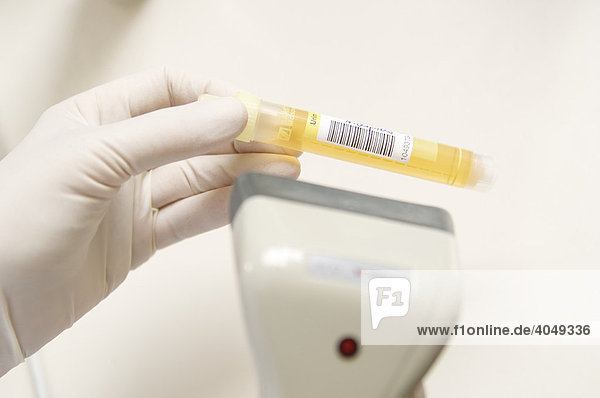 Labor  Laborantin beim Einscannen eines Barcodes einer Patientenblutprobe