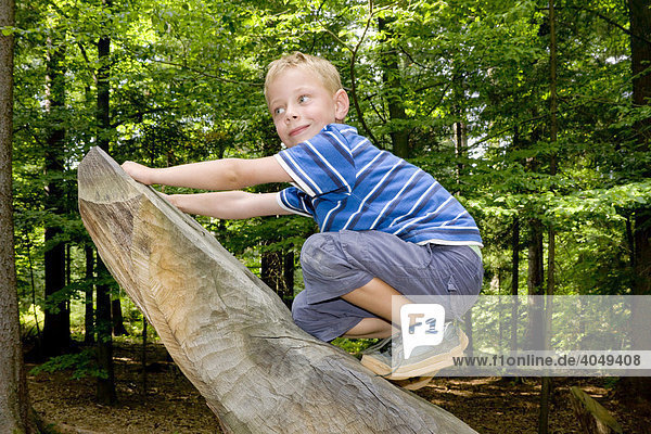 Ein Junge  6 Jahre  klettert auf einen Baumstamm