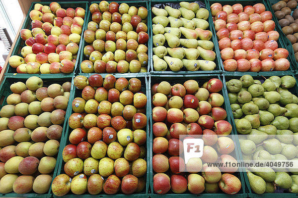 Obsttheke in einem Lebensmittelmarkt  Paffrath  Bergisch Gladbach  Nordrhein-Westfalen  Deutschland  Europa