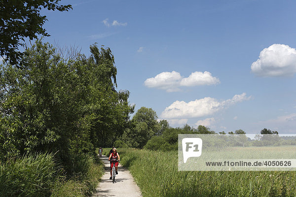 Fahrradweg und Wanderweg bei Prien  Chiemgau  Oberbayern  Bayern  Deutschland  Europa
