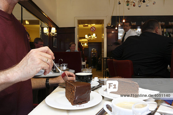 Sachertorte in Café Diglas  Vienna  Austria  Europe