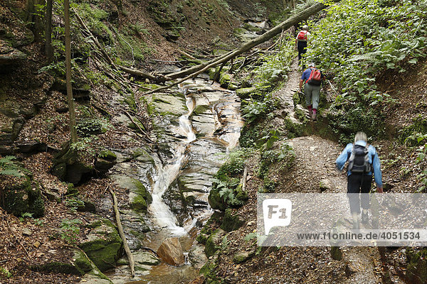 Hikers in Heiligengeistklamm  gorge  near Leutschach  Styria  Austria  Europe