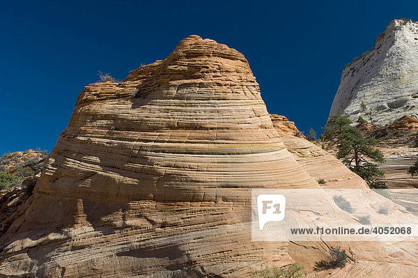 Sandstein  Bergkuppe  Mont Carmel Highway  Zion Nationalpark  Utah  USA