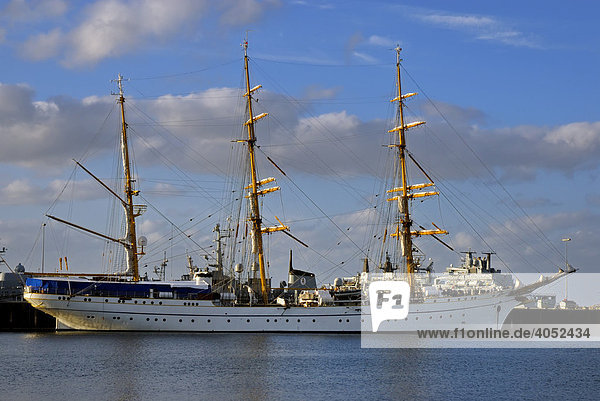 Segelschulschiff der deutschen Marine Gorch Fock im Hafen  Kiel  Schleswig-Holstein  Deutschland  Europa