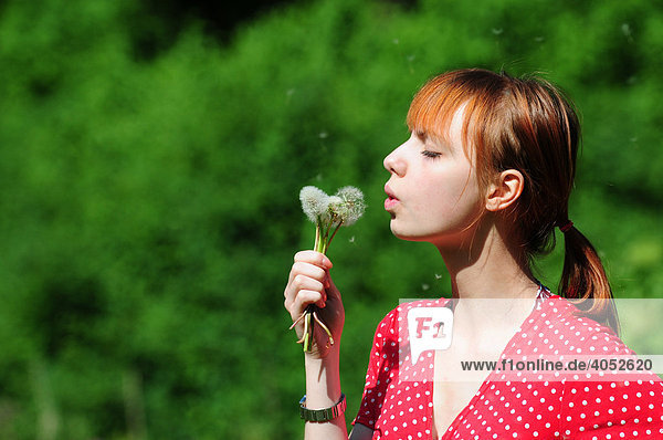 Rothaarige Frau in rotem Kleid im Park  Sommer  pustet Pusteblume und wünscht sich etwas