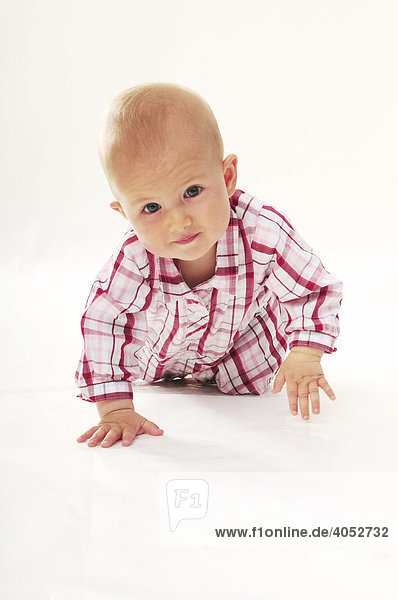 Portrait Baby  8 Monate  mit Kleid  krabbeln  Neugier