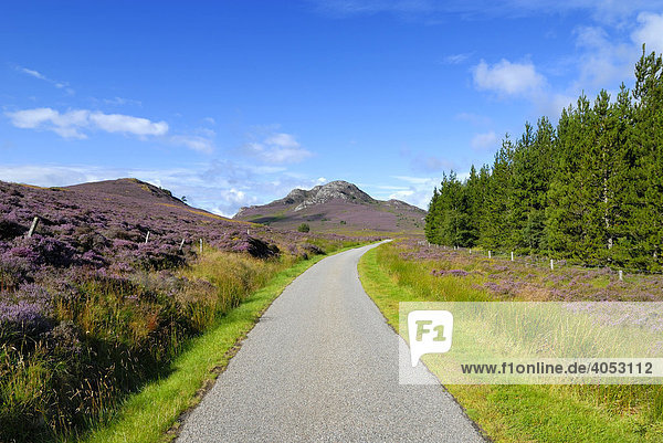 Single Track Road in den Highlands  Schottland  Großbritannien  Europa