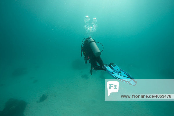 Scuba diver swimming in cloudy water  Philippines  Southeast Asia