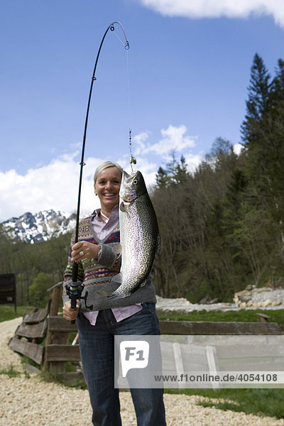 A freshly caught Rainbow Trout (Oncorhynchus mykiss) hanging on a rod  Styria  Austria  Europe