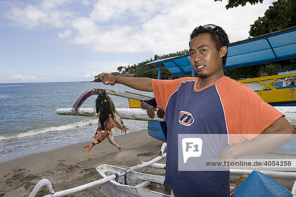 Fischer präsentiert stolz seinen Fang von Korallenfischen  Insel Lombok  Region kleine Sunda-Inseln  Republik Indonesien  Asien