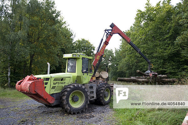 Waldarbeiter transportiert mit einer Maschine Holzstämme auf einem Waldweg  Hessen  Deutschland  Europa