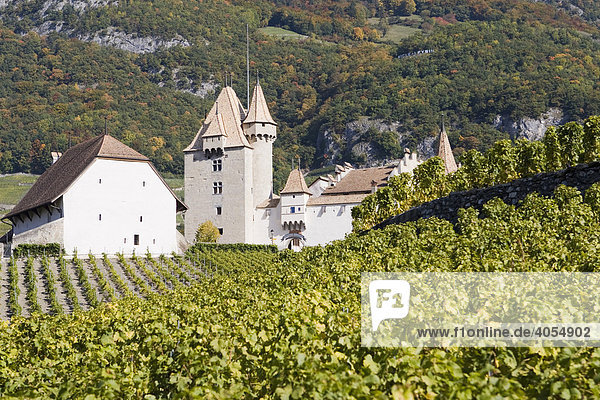 Chateau d'Aigle in den Weinbergen um Lausanne  Kanton Waadt  Schweiz  Europa