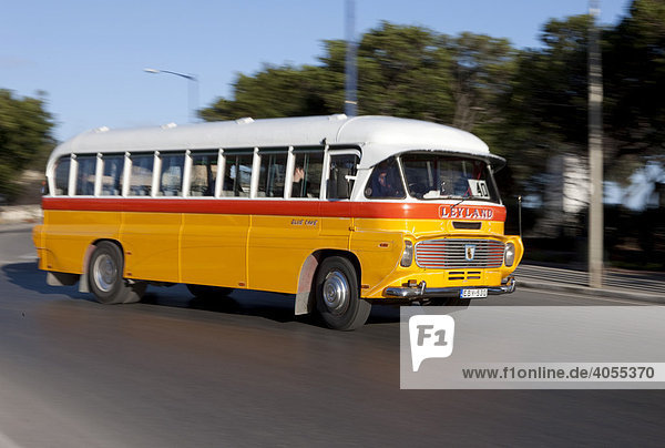 Typischer öffentlicher Bus in Malta in der Nelson Road  Valletta  Malta  Europa