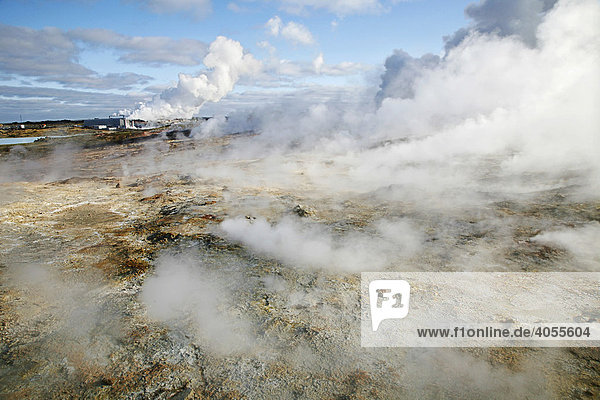 Dampf aus zahllosen Löchern und Spalten in der Erdoberfläche  den Solfatarten  dahinter ein geothermales Kraftwerk und eine Fabrik zur Salzgewinnung  die mit geothermaler Energie betrieben wird  Geothermalgebiet von Gunnuhver  Südisland  Island  Europa