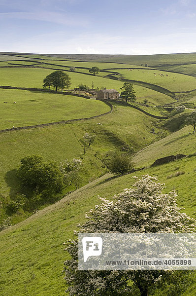 Farmland nahe Buxton Peak District Nationalpark Cheshire Großbritannien Europa
