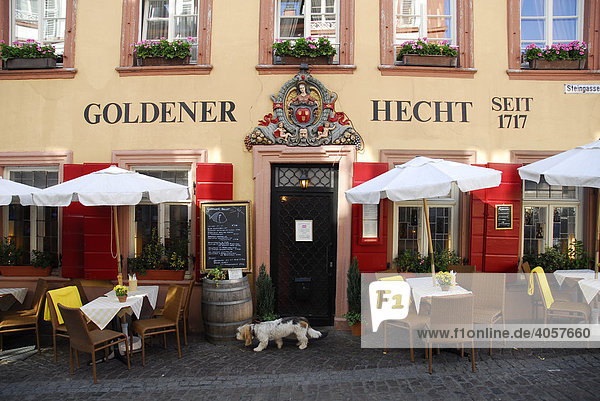 Goldener Hecht  Restaurant mit österreichischen Spezialitäten  Außengastronomie  Fassade und Haupteingang  Altstadt  Heidelberg  Neckartal  Baden-Württemberg  Deutschland  Europa