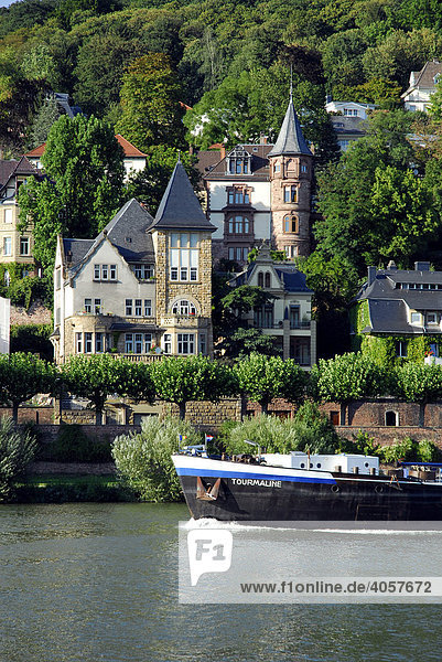 Binnenschifffahrt auf dem Neckar  dahinter Villen am hügeligen Flussufer  Heidelberg  Neckartal  Baden-Württemberg  Deutschland  Europa