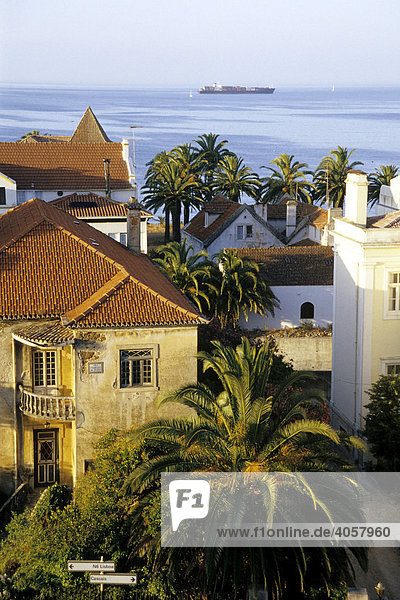Palmen  Villen und Herrenhäuser an der Küste von Estoril  ein mondänes Seebad zusammengewachsen mit Cascais  Lissabon  Portugal  Europa