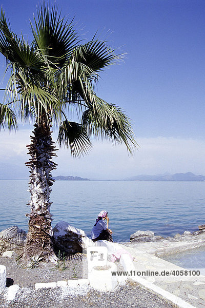 Palm tree at Lake Koeycegiz  thermal bath with hot spring water in Sultaniye  Dalyan in the Mugla Province  Turkey