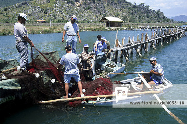 Fishermen  fish trap in river  river delta near Kaunos  Dalyan in the Mugla Province  Turkey