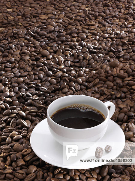 White coffee cup on roasted coffee beans
