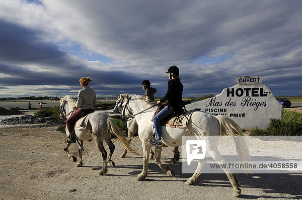 Reiter auf weißen Pferden bei Saintes Maries de la Mer  La Camargue  Provence  Frankreich  Europa