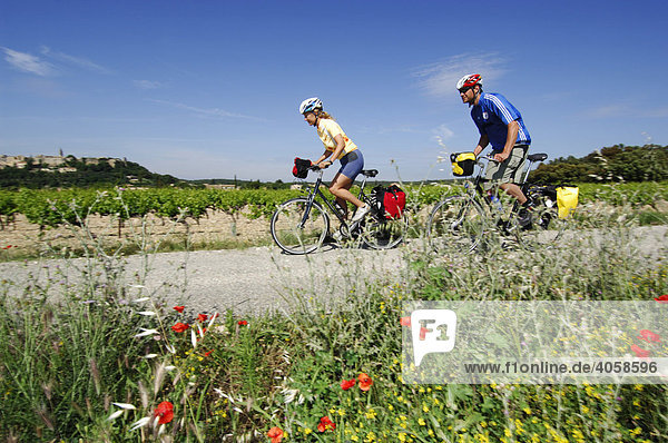 Bicyclists in the Provence  France  Europe