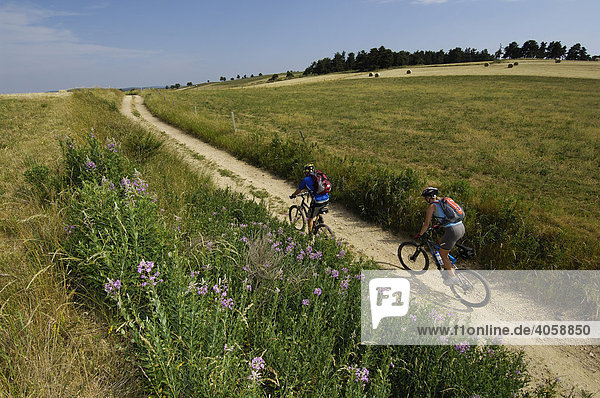 Mountainbikers near Medille  Ardèche  Rhones-Alpes  France  Europe