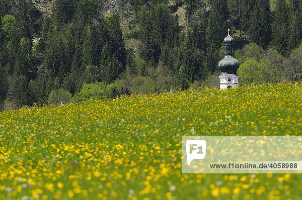 Kirchturm von Kössen  Tirol  Österreich  Europa